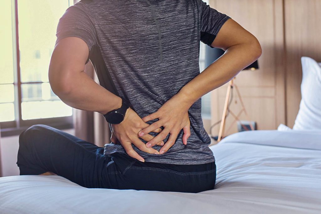 The Link Between Fibre and Musculoskeletal Pain