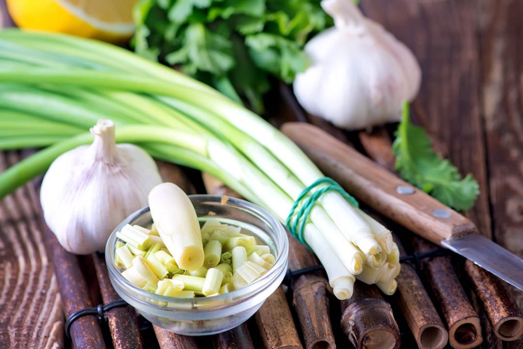 Boost Mineral Absorption with Prebiotic Fibre